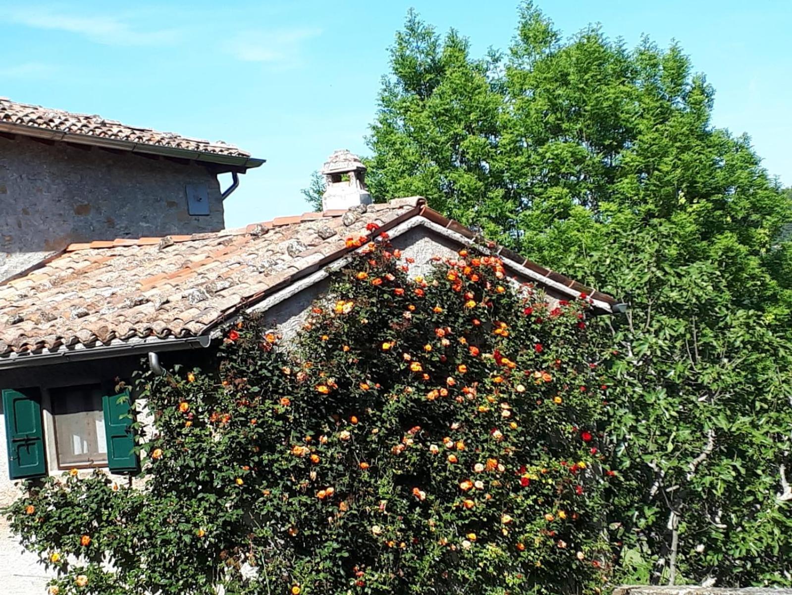 Bed and Breakfast La Corte Bonomini Neviano degli Arduini Zewnętrze zdjęcie