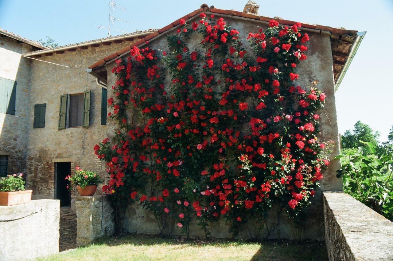 Bed and Breakfast La Corte Bonomini Neviano degli Arduini Zewnętrze zdjęcie