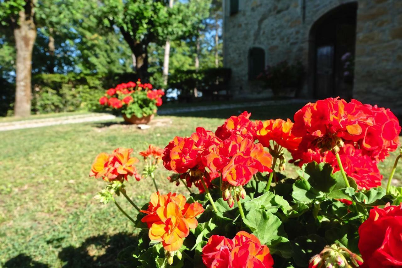 Bed and Breakfast La Corte Bonomini Neviano degli Arduini Zewnętrze zdjęcie